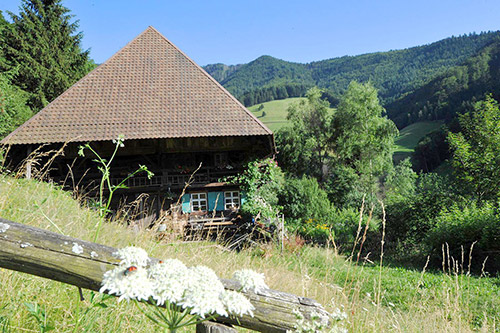 Schwarzwaldhaus  