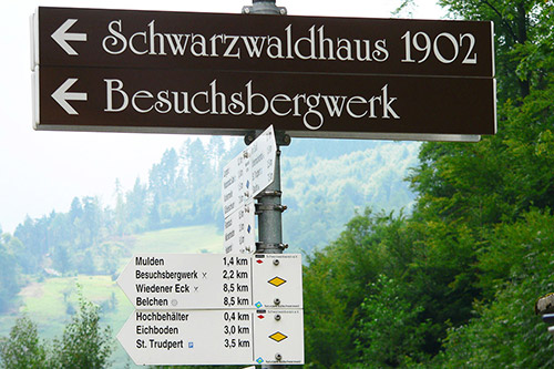 Wandern in Münstertal im Schwarzwald